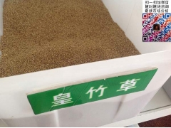 買皇竹草多少錢一斤合算？