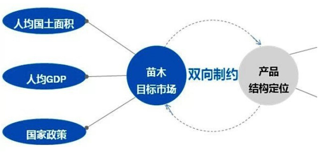 學(xué)習(xí)國外苗木行業(yè)經(jīng)驗(yàn)，搶先了解國內(nèi)市場動態(tài)