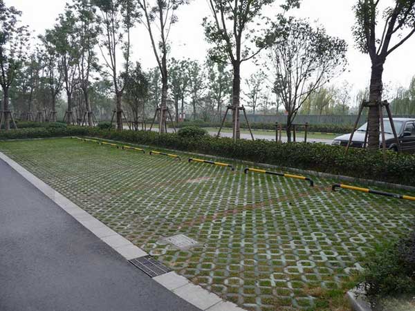 停車場草坪種植草坪種子綠化