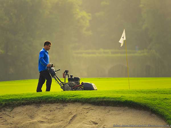 高爾夫球場草坪圖片