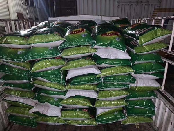 寬葉雀稗草種子 寬葉雀稗草種子