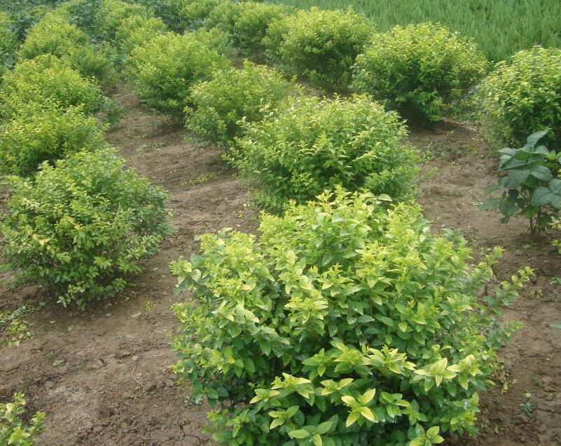 1648541984484509.jpg 1648541984484509.jpg