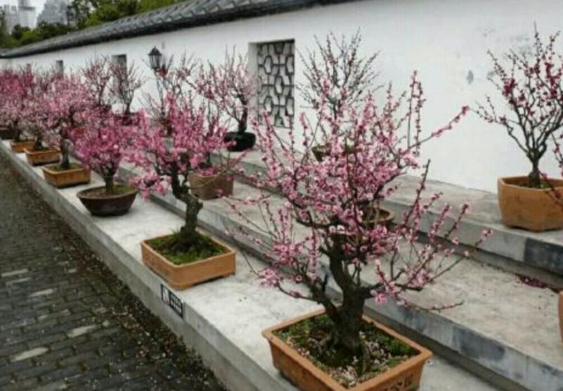 1648544379274705.jpg 1648544379274705.jpg