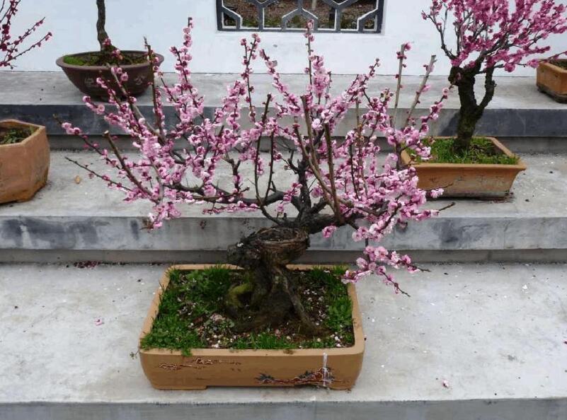 1648544379574991.jpg 1648544379574991.jpg