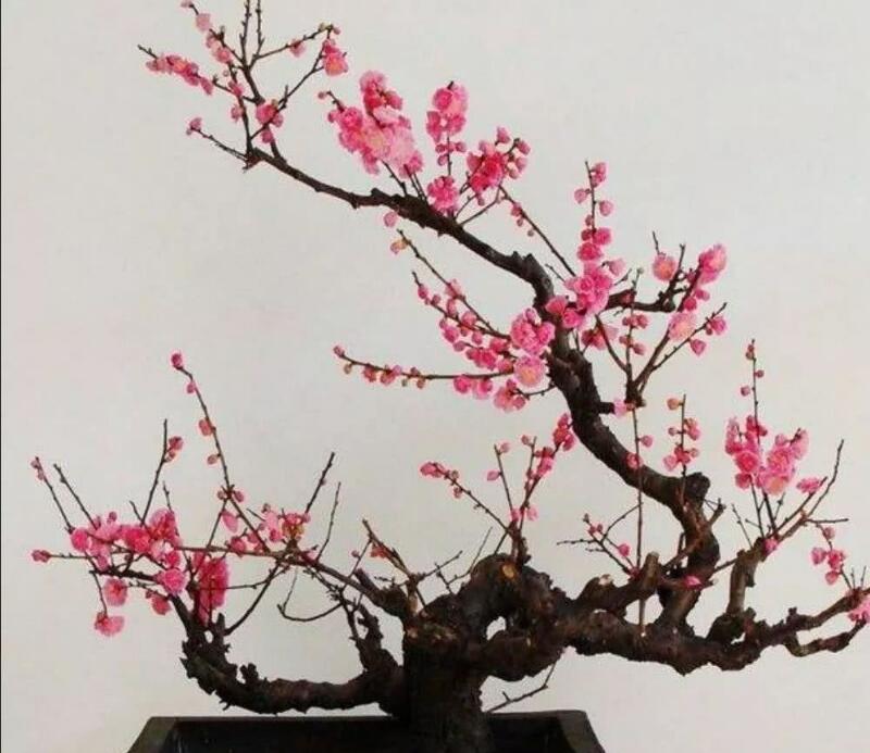 1648544379584485.jpg 1648544379584485.jpg