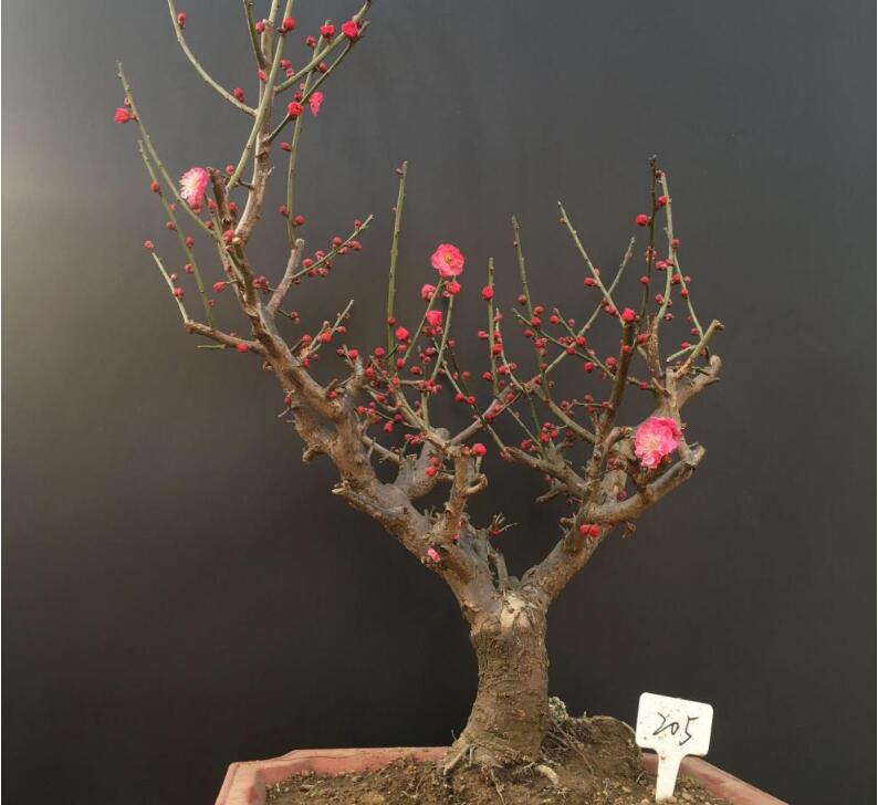 1648544379751681.jpg 1648544379751681.jpg