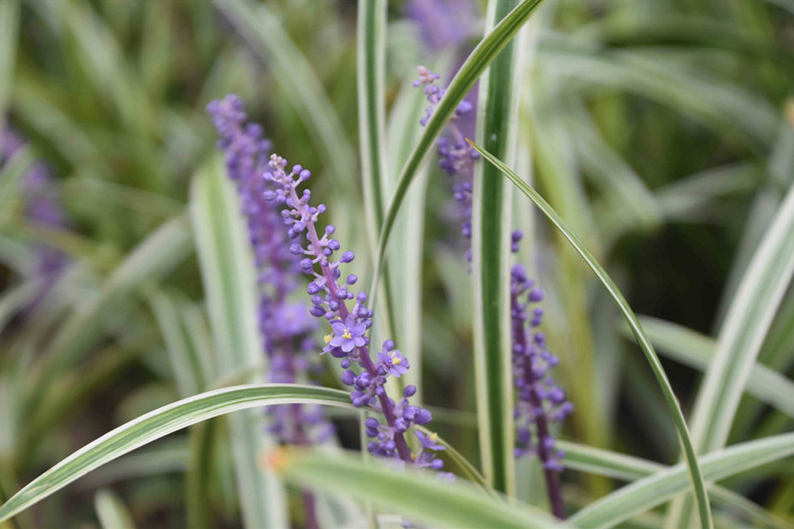 1673081924265683.png 微信圖片_20230107165749.png