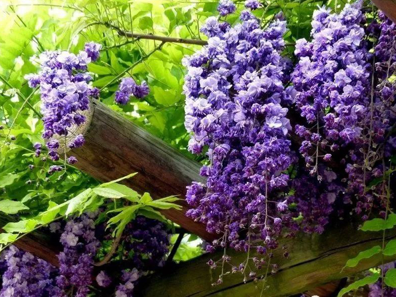 1673082014203559.jpg 微信圖片_20220818221329.jpg