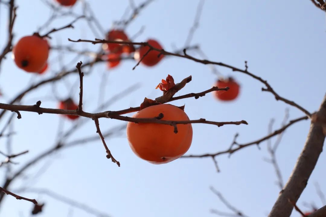 1673082254528013.jpg 微信圖片_20230107170328.jpg