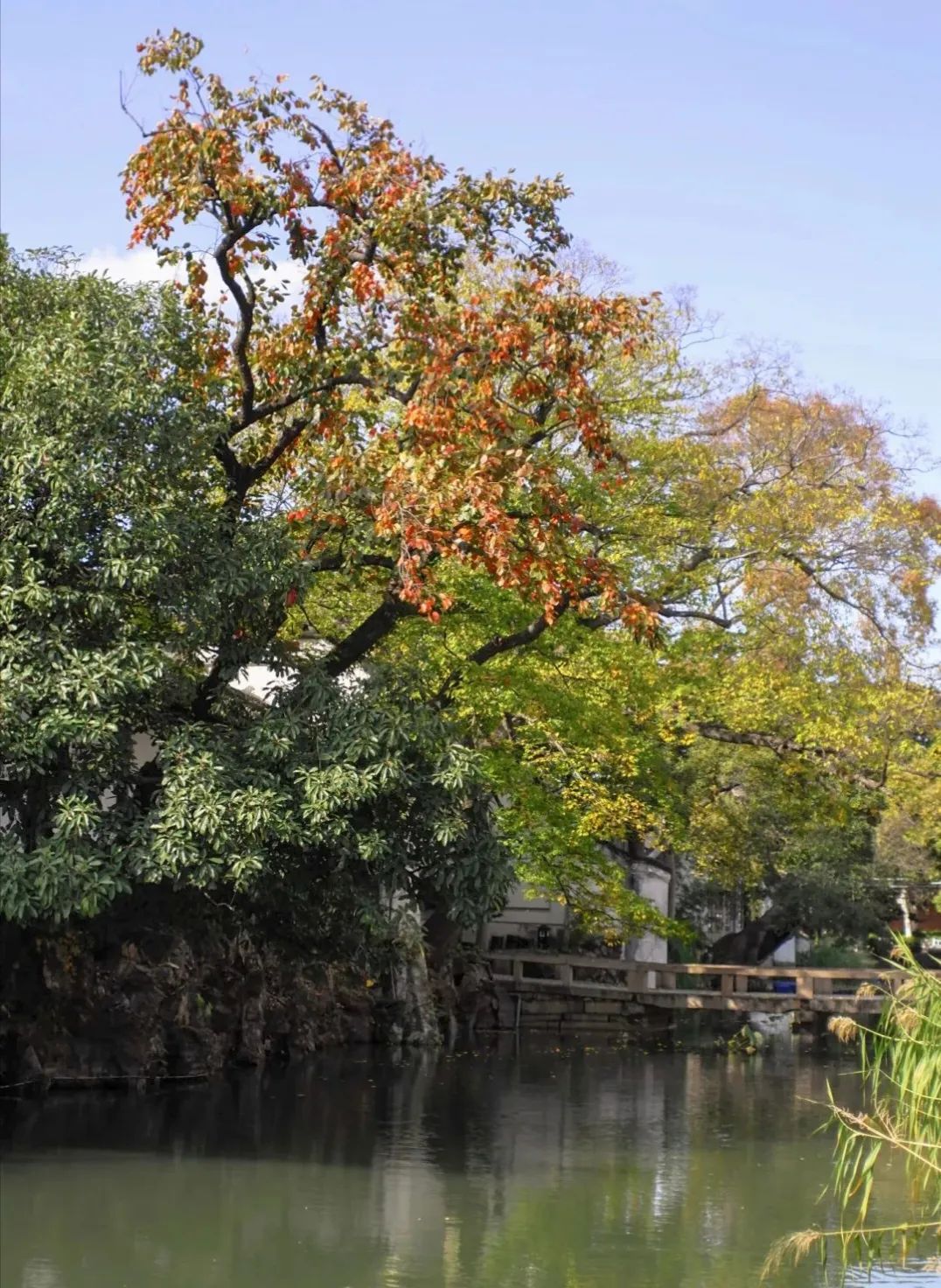 1673082272353296.jpg 微信圖片_20230107170337.jpg