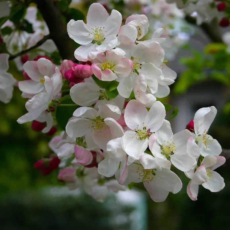 1673082627210318.jpg 微信圖片_20221128204901.jpg