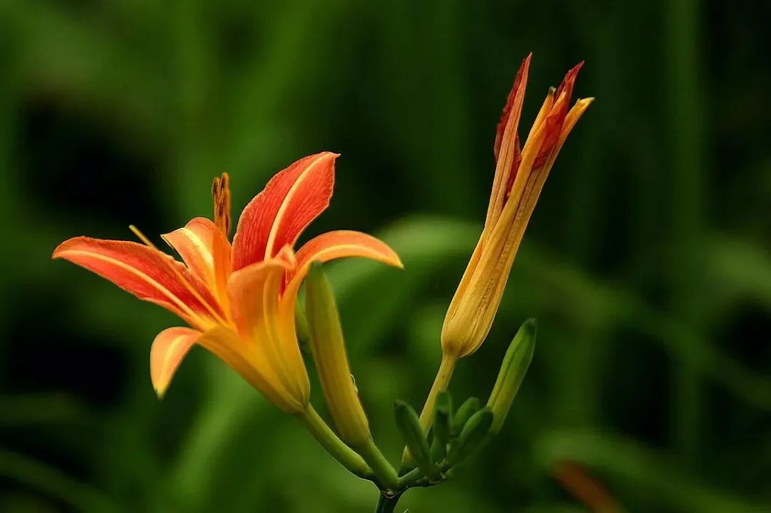 1673151805667687.jpg 微信圖片_20230108122245.jpg