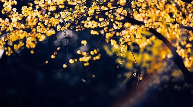 1673152617301417.jpg 微信圖片_20221023232842.jpg