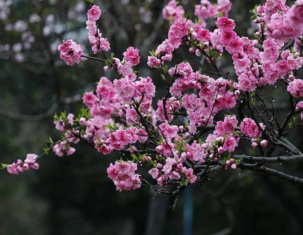 1673152771658993.png 微信圖片_20230102170932.png