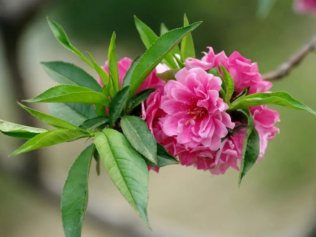 1673152777527774.jpg 微信圖片_20230102170949.jpg