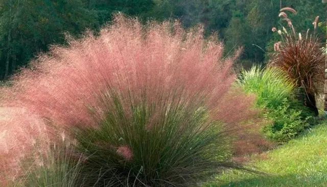 1673153339945689.jpg 微信圖片_20221104193512.jpg