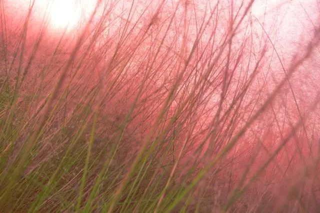 1673153350623567.jpg 微信圖片_20221104193533.jpg