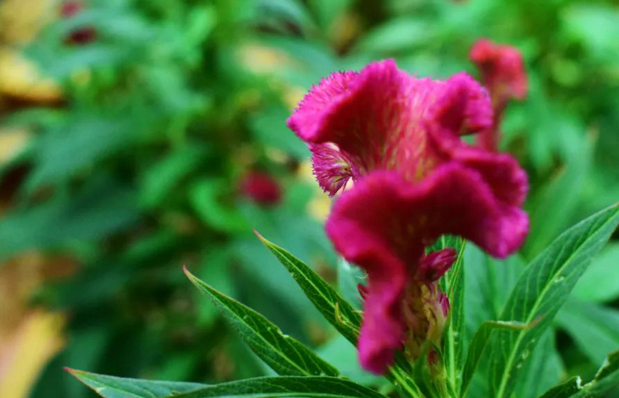 1673153602636020.jpg 微信圖片_20230108125155.jpg