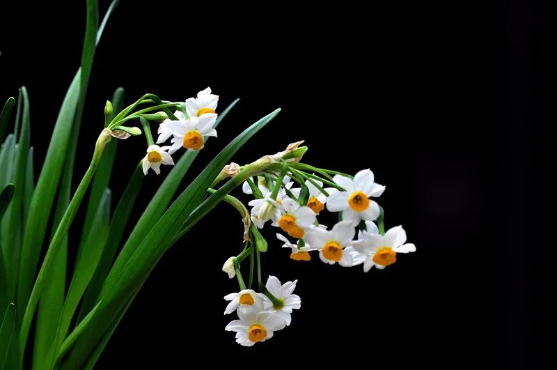 1673452360143893.jpg 微信圖片_20230108151954.jpg