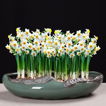 1673452376724917.jpg 微信圖片_20230108152019.jpg