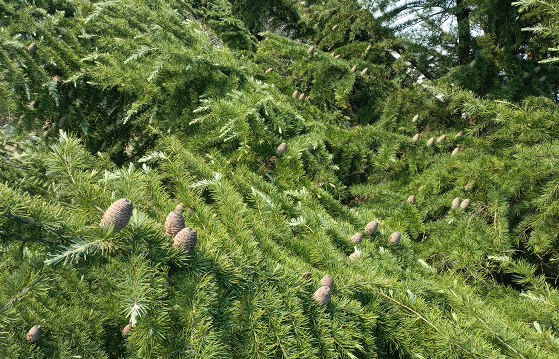 1673452484325745.png 微信圖片_20230111235424.png